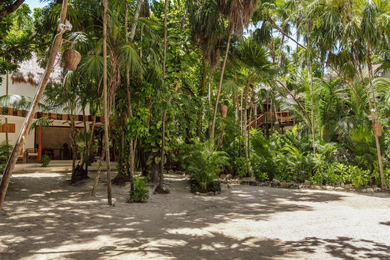 מלון Dos Ceibas Tulum - Massage & Yoga Inclusive מראה חיצוני תמונה