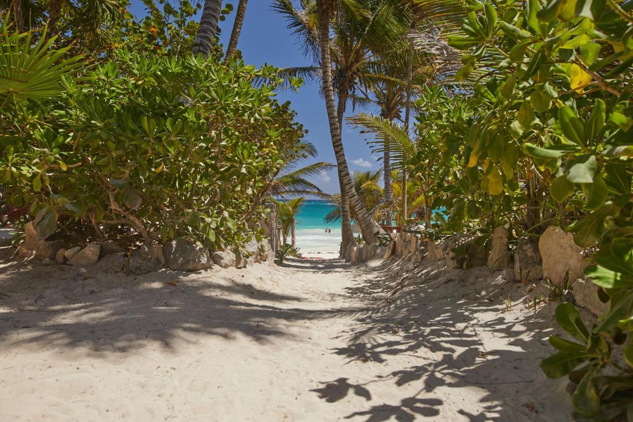מלון Dos Ceibas Tulum - Massage & Yoga Inclusive מראה חיצוני תמונה