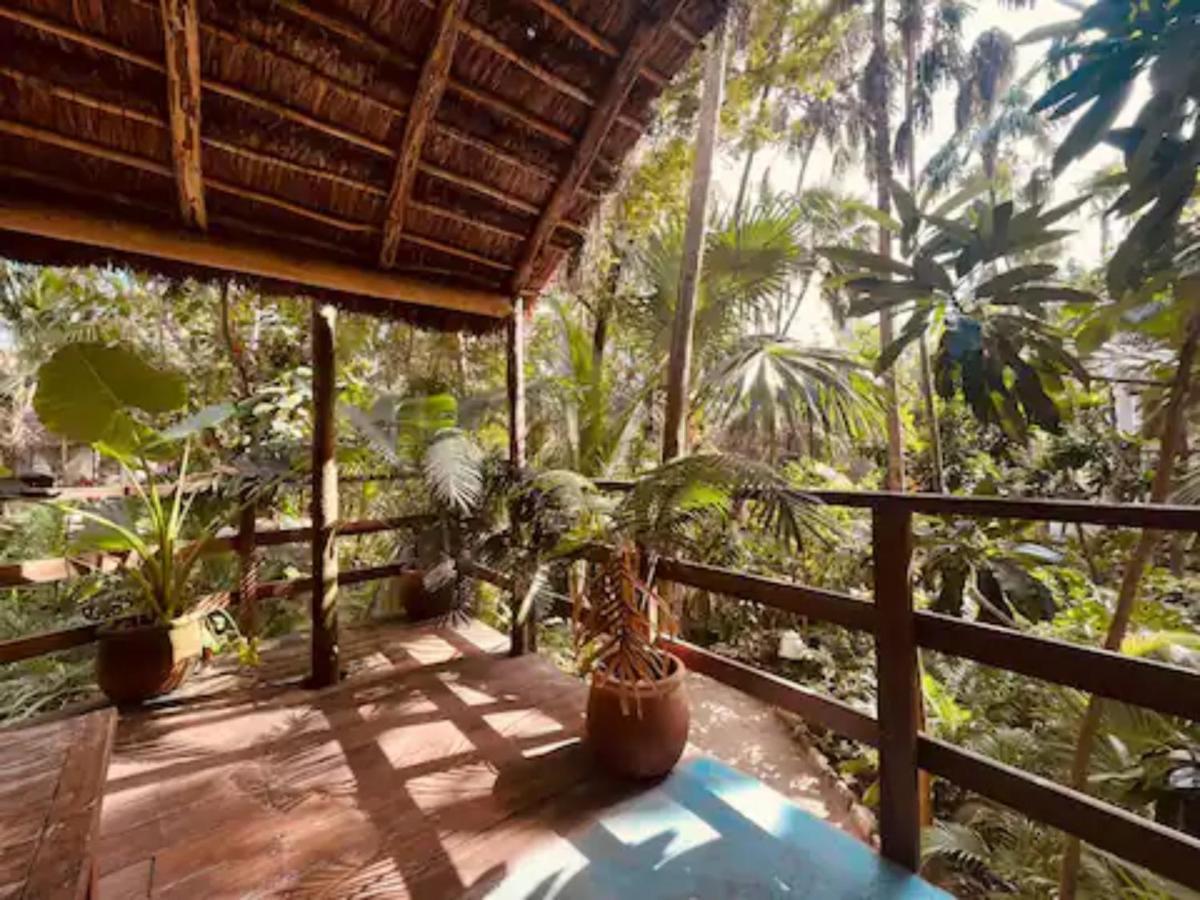 מלון Dos Ceibas Tulum - Massage & Yoga Inclusive מראה חיצוני תמונה