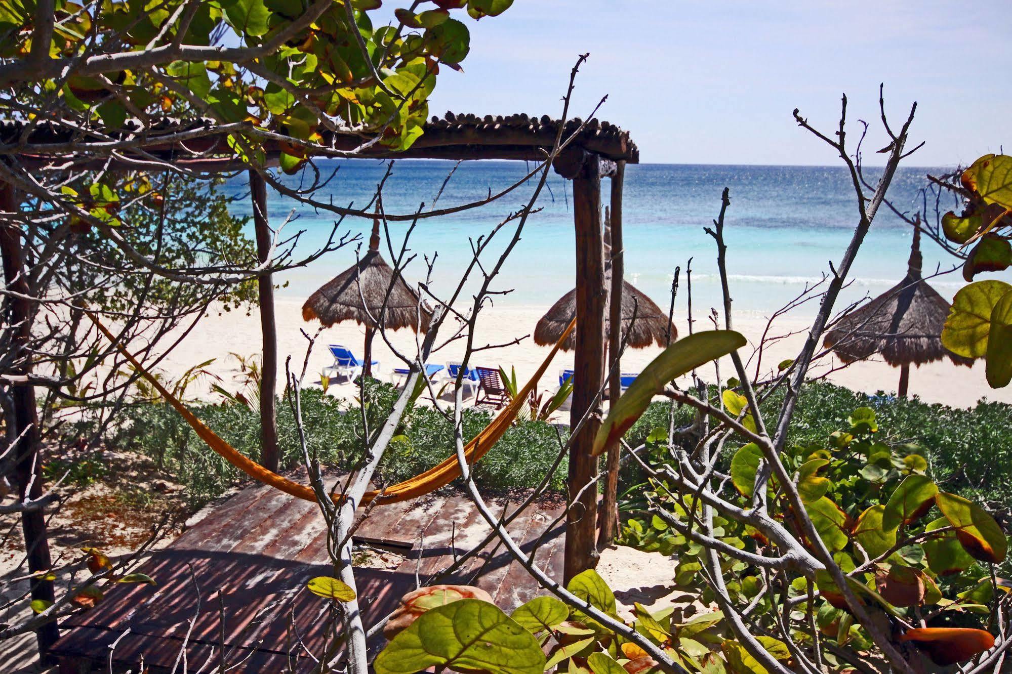 מלון Dos Ceibas Tulum - Massage & Yoga Inclusive מראה חיצוני תמונה